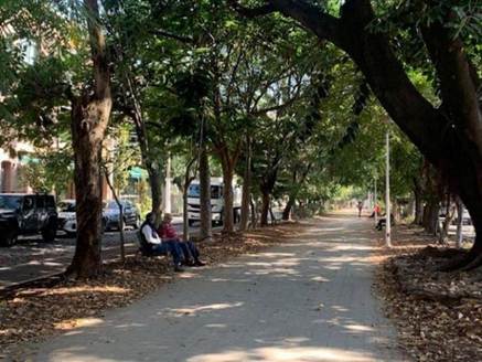 Personas adultas mayores en la vida cotidiana