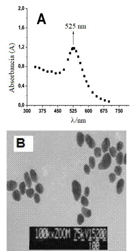 A) Espectro UV/VIS de una mezcla coloidal de oro en medio acuoso. B) Imagen de AuNPs de oro obtenidas por TEM de la sntesis con citrato de sodio