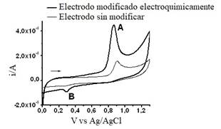 Voltamperogramas cclicos registrados en una solucin reguladora actico/acetato (pH 3,6) + 1x10-4 mol L-1 TRP con un electrodo de carbn vtreo modificado electroqumicamente (EQ/CV) y sin modificar (CV), n = 200 mV.s-1