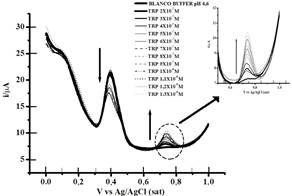 Familia de voltamperogramas obtenidos por VOC (frecuencia: 60 Hz y amplitud: 25 mV) en una solucin tampn acetato pH 4,6 con el electrodo modificado AuNPs/TIO/EQ/CV variando la concentracin de TRP y manteniendo constante la concentracin de AA 1x10-4 mol L-1 y AU 1x10-5 mol L-1.