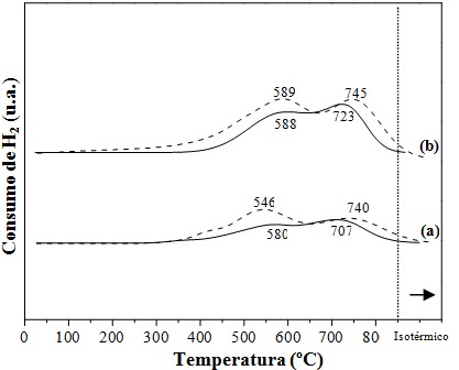 Perfiles de RTP registrados para los soportes