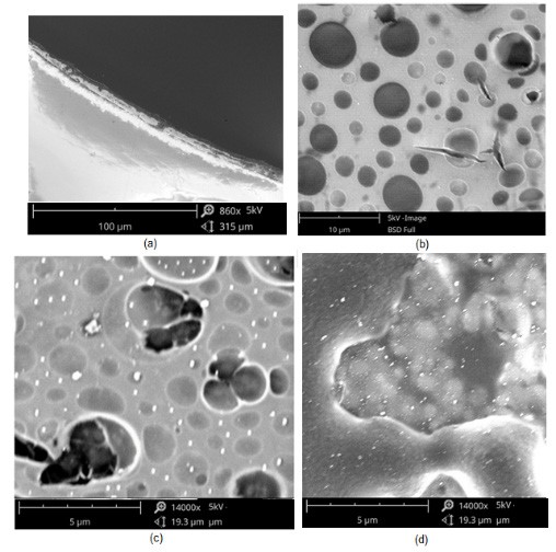 Microscopa electrnica de barrido