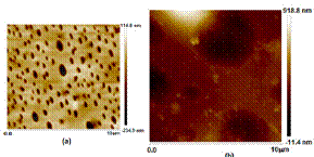 Microscopa de Fuerza Atmica. a) Nf sobre electrodo CV b) Electrodo CV modificado con AgHgNpNf (igual caracterstica present el depsito AgBiNpNf)