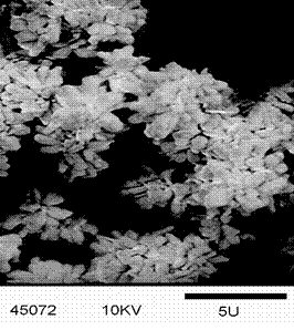 SEM of nitrate-sodium cancrinite type zeolite. Typical hexagonal crystals can be observed. 