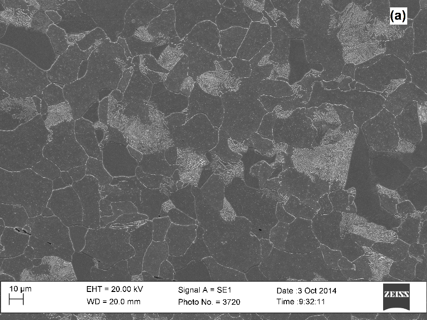 (a) Microestructura ferrtico-perltica de la condicin de material envejecido en servicio (MES), (b) Precipitacin en el interior y en los contornos de grano de la ferrita en la condicin de material envejecido en servicio (MES).