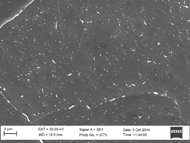 Microestructura de la condicin de material envejecido en servicio con tratamiento trmico (MES+TT).