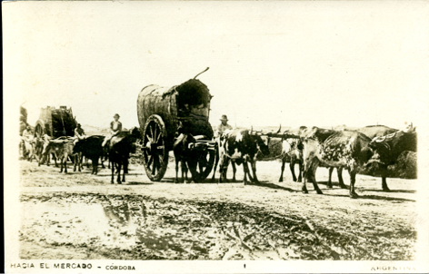 Tarjeta postal, Hacia el mercado – Crdoba. Argentina“, editor desconocido, Argentina, despus de 1905, coleccin de Hinnerk Onken