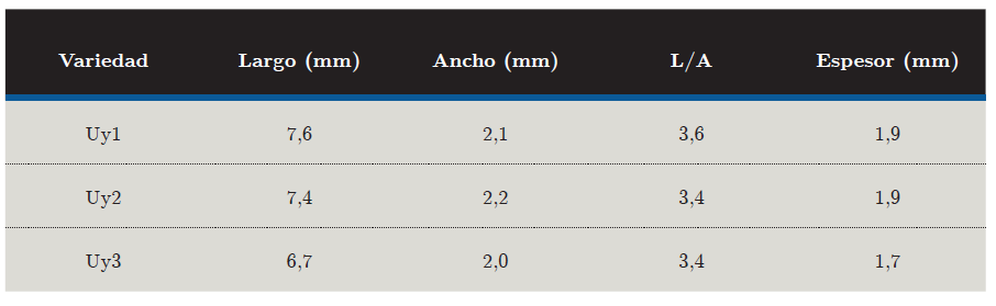Dimensiones promedio de arroz cargo de las variedades Uy1, Uy2 y Uy3. L/A: relación (Largo/Ancho) promedio de cada variedad.