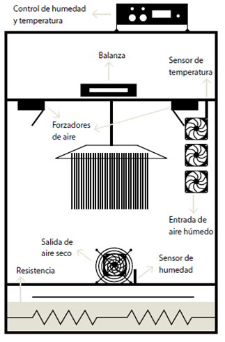 Figura 1.