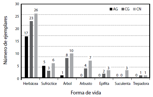 Figura 5.