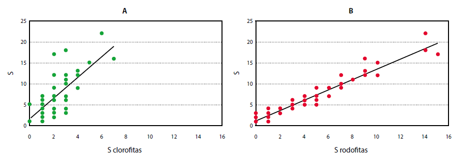 Gráfico 3.