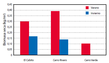 Gráfico 4.