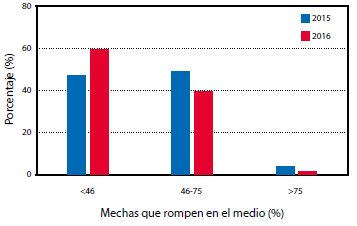Gráfico 4.