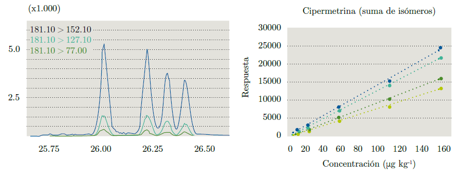 A la izquierda, cromatograma de Cipermetrina. En el eje de las abscisas se grafica el tiempo (en minutos) y en el eje de las ordenadas, la respuesta analítica. A la derecha, curva de calibración en matriz (matrix matched calibration) para sus cuatro isómeros por separado. Para todos los isómeros se grafica concentración del pesticida en función de la respuesta analítica.