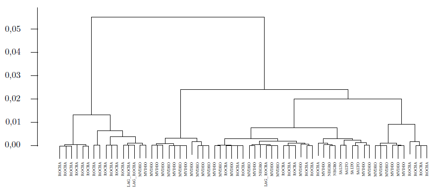 Diagrama que representa el análisis de cluster para las curvas de melting obtenidas por HRMA del gen mcyJ para distintas muestras de Montevideo (MVDEO), Rocha (playas de La Paloma y Laguna de Rocha), tomadas entre el 30 de enero y 7 de febrero del 2019, y para los embalses de Salto Grande (SALTO) (enero y diciembre 2013) y Río Negro (NEGRO) (marzo 2013).