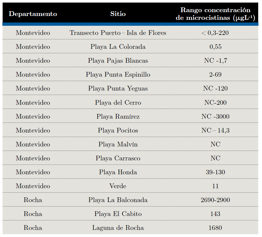 Rangos de concentración de microcistinas registradas en las costas de Montevideo y Rocha, estimados mediante Elisa (Pírez, et al., 2013). NC = No cuantificable (< 0,3 mgL-1). Los valores de concentración de microcistinas no están corregidos por la densidad celular, representando la concentración de microcistina en la muestra de espuma, en cada sitio.