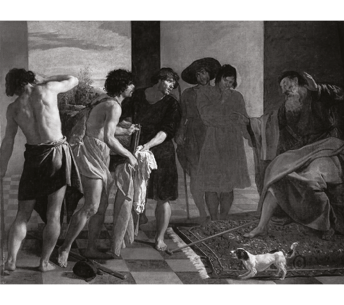 Imagen  6.