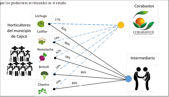 Cadena  actual de suministro de los productos estudiados