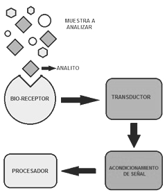 Esquema de un biosensor.
