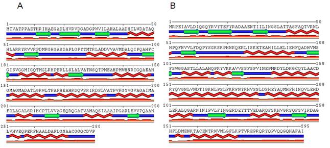 Predicted secondary structure image generated with MINNOU Server [19], β-sheets are represented as green arrows and α-helices as red waves. The third line indicates the confidence level of the predicted structure for that particular position. H16_A0147 gene product (A) and PhaG protein from P. putida KT2447 (B).