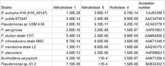 E-values from PhaG homologues and R. eutropha H16_RS00705 compared to Pfam database.