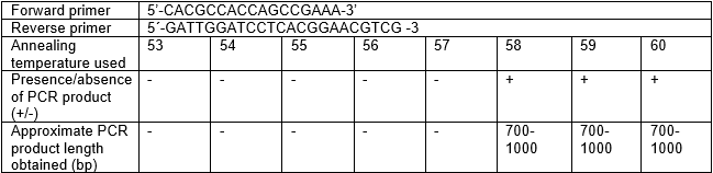 Amplification of a phaG-like gene from R. eutropha H16 genome. Gradient temperature PCR was done.