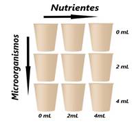 Boceto del diseo experimental.