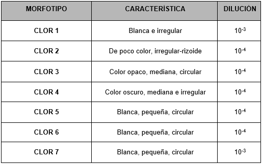 Caracterizacin macroscpica realizada a las 10 colonias de microorganismos seleccionados previamente.