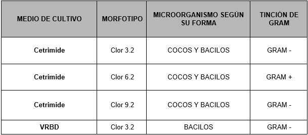Resultado de pruebas de caracterizacin microscpica.