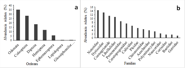 Abundancia relativa a nivel de rdenes. b) Abundancia relativa a nivel de familias de macroinvertebrados acuticos.