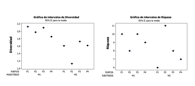 Variacin espacial y temporal de la diversidad y riqueza de macroinvertebrados acuticos en la cinaga Plaza Seca.