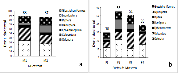 Densidad total a nivel de muestreos (a) y de puntos de muestreo (b).