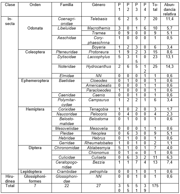 Composicin taxonmica de la comunidad de macroinvertebrados acuticos producto de dos muestreos realizados en la cinaga La Negra, Quibd – Choc