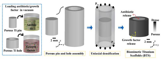 en este esquema del procedimiento de fabricaci�n de un andamio de titanio se puede visualizar que se realiza una carga de antibi�tico para reducir riesgo de infecciones, luego hay un proceso de ensamble de la parte m�s densa con la parte hueca para luego permitir la liberaci�n del medicamento [5].