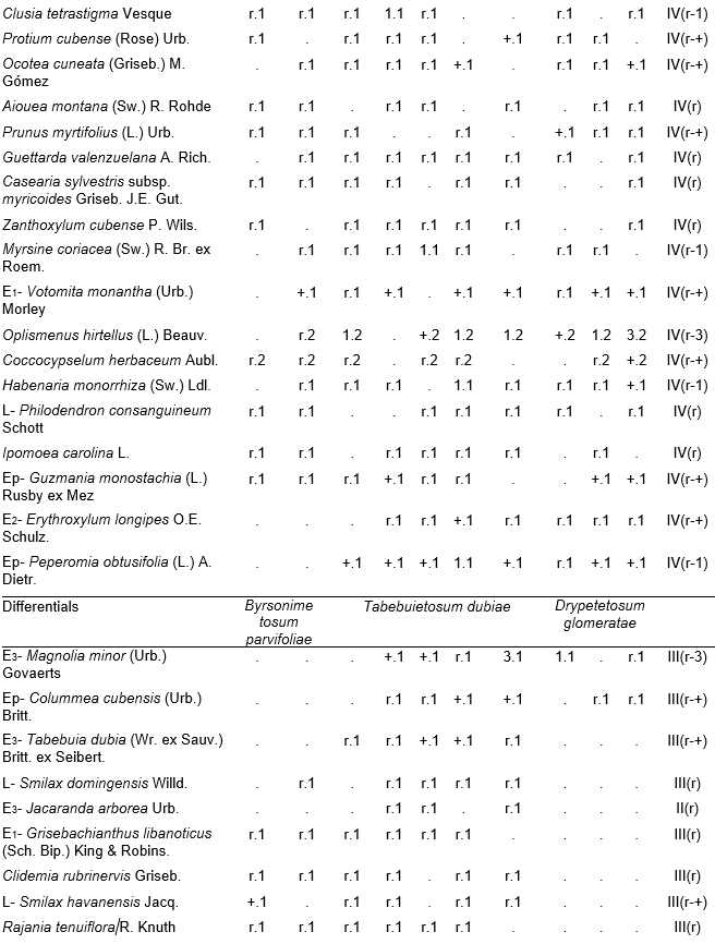 Alsophyllo minoris-Ocoteetum spathulatae in the ophiolitic rainforests of Altiplanicie de Nipe. NW &ndash; northwest, NNW &ndash; north-northwest. P - deep, Mp - moderate deep, Pp - shallow.
