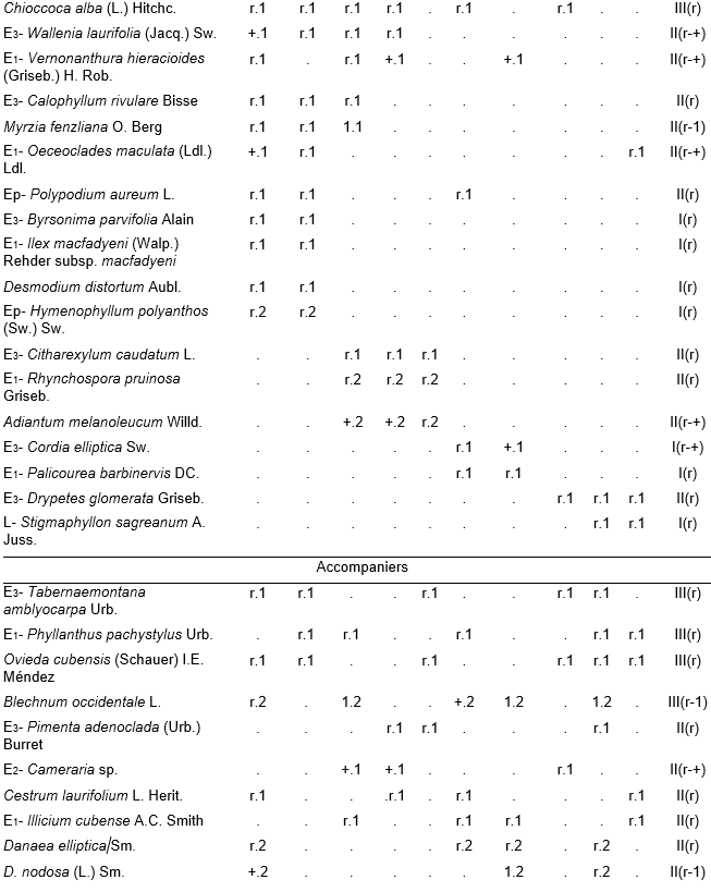 Alsophyllo minoris-Ocoteetum spathulatae in the ophiolitic rainforests of Altiplanicie de Nipe. NW &ndash; northwest, NNW &ndash; north-northwest. P - deep, Mp - moderate deep, Pp - shallow.