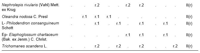 Alsophyllo minoris-Ocoteetum spathulatae in the ophiolitic rainforests of Altiplanicie de Nipe. NW &ndash; northwest, NNW &ndash; north-northwest. P - deep, Mp - moderate deep, Pp - shallow.