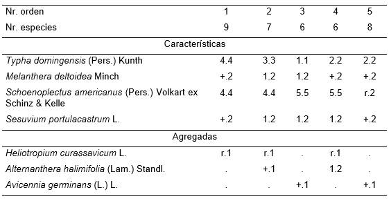 Melanthero deltoideae-Typhetum domingensis Reyes & Acosta.