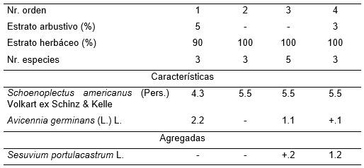 Schoenoplecto americani - Avicennietum germinantis Reyes & Acosta.