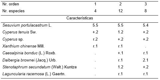 Cypero-Sesuvietum portulacastri Reyes & Acosta 2003.