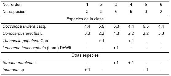 Conocarpodo erecti-Coccolobetum uviferae Reyes 2003.