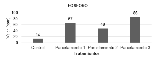 Comparación del fosforo en cada uno de los parcelamientos
