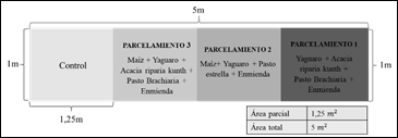 Parcelamientos demostrativos