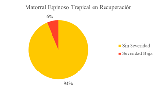 Análisis de Combustión del Matorral Espinoso Tropical en Recuperación