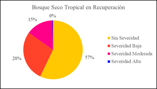 Análisis de Combustión del Bosque Seco Tropical en Recuperación