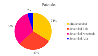 Análisis de Combustión de Pajonales