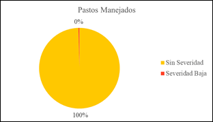 Análisis de Combustión de los Pastos Manejados
