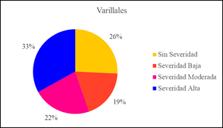 Análisis de Combustión de los Varillales