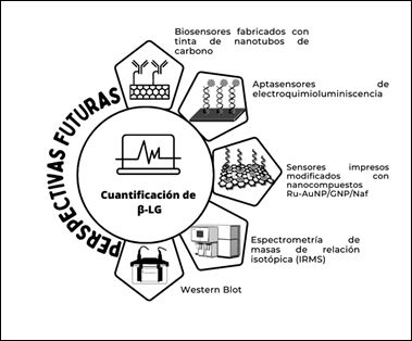 Perspectivas futuras respecto a los mtodos analticos para la cuantificacin de β-LG.
