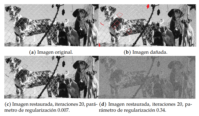 Influencia del parmetro de regularizacin en la restauracin de imgenes con dominio perdido.